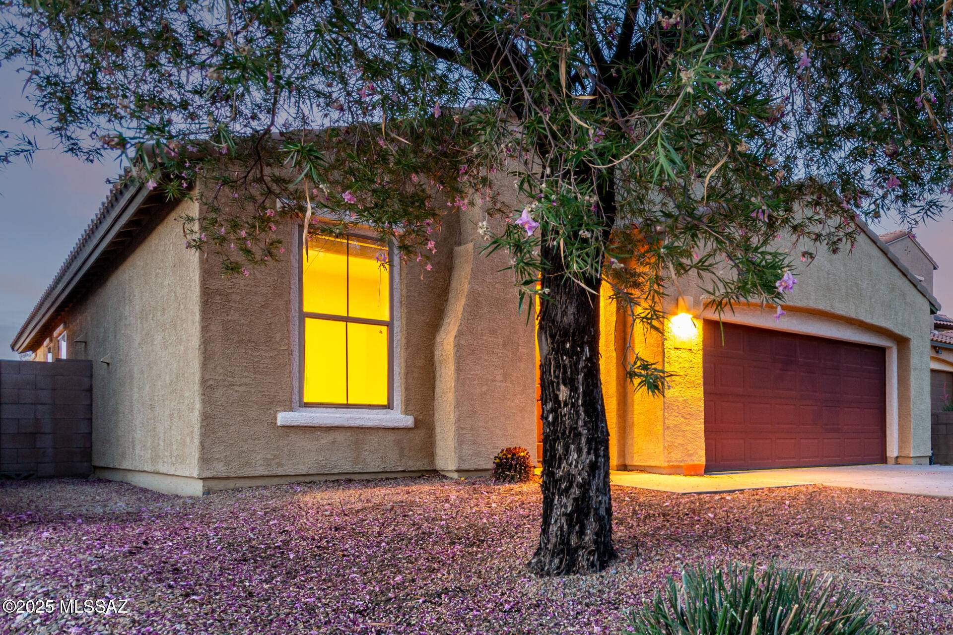 Vail, AZ 85641,10377 S High Bluff Drive