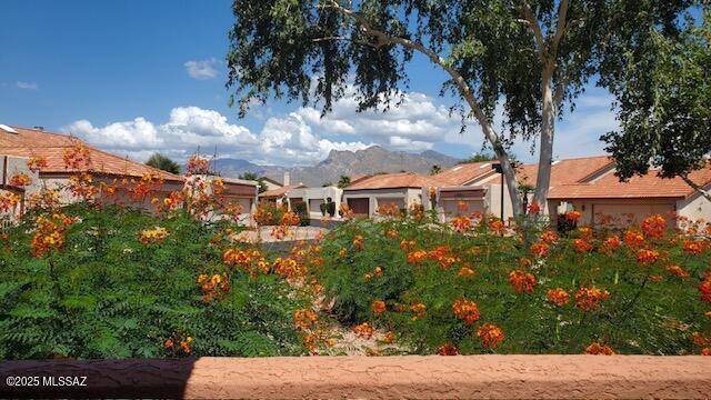 Tucson, AZ 85742,2413 W Tom Watson Drive