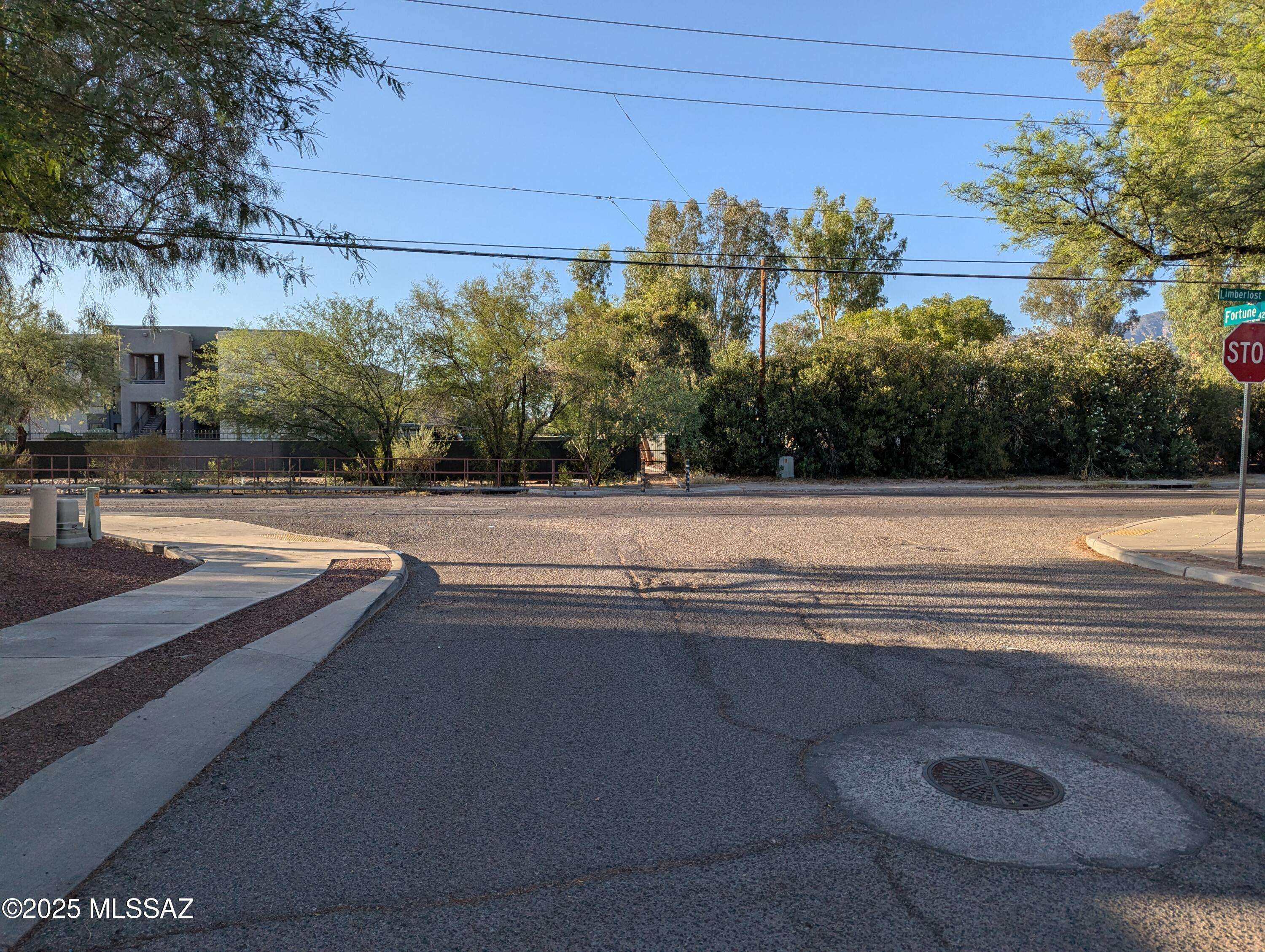 Tucson, AZ 85719,4191 N Fortune Loop