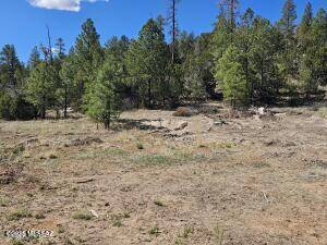 Heber-overgaard, AZ 85933,3326 Black Canyon Road