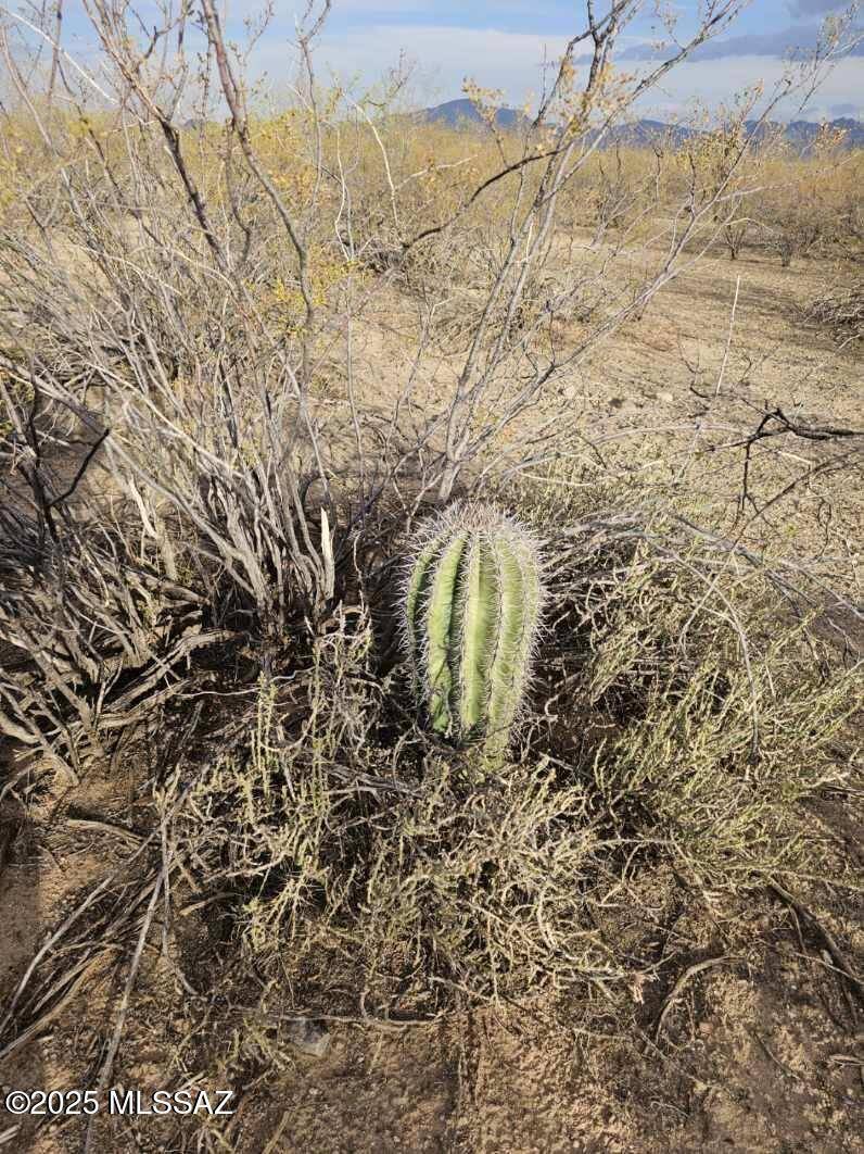Sahuarita, AZ 85629,7081 E Cactus Patch Way