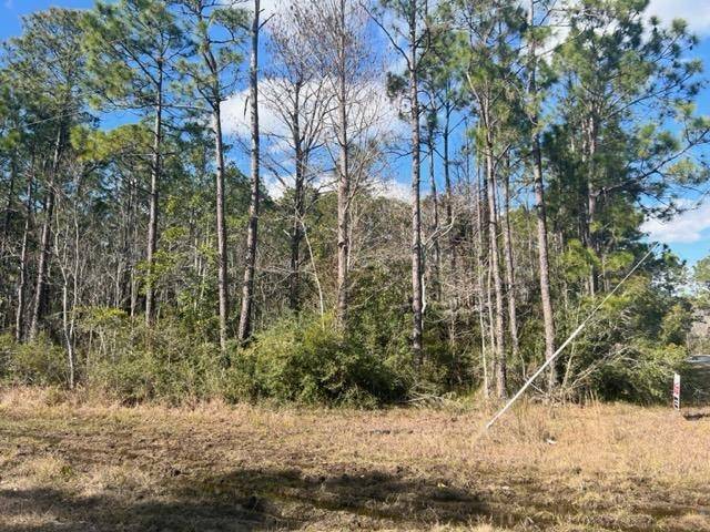 Milton, FL 32583,1A Buffler Dr