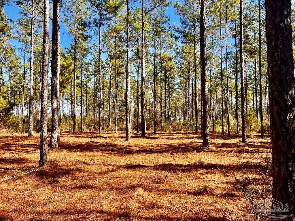 Jay, FL 32565,Lot 17 Denali Rd