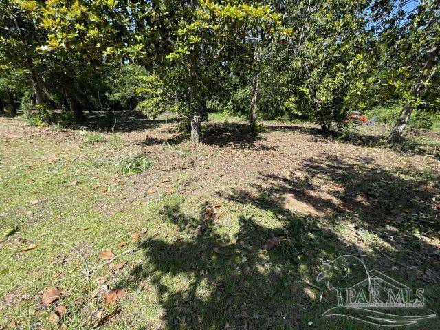 Pensacola, FL 32514,9617 Coriander Ct
