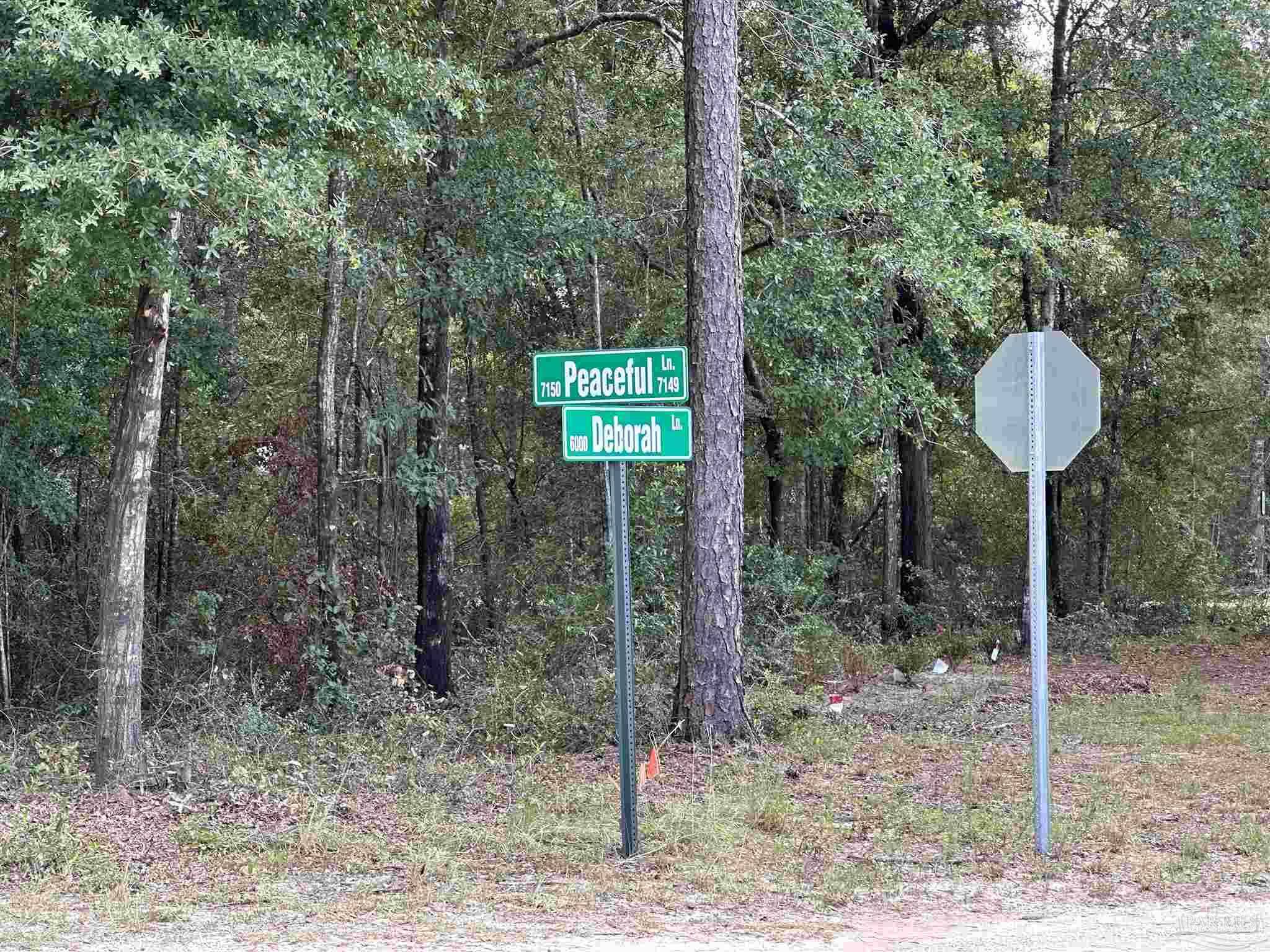 Milton, FL 32570,Lot 11 Peaceful Ln