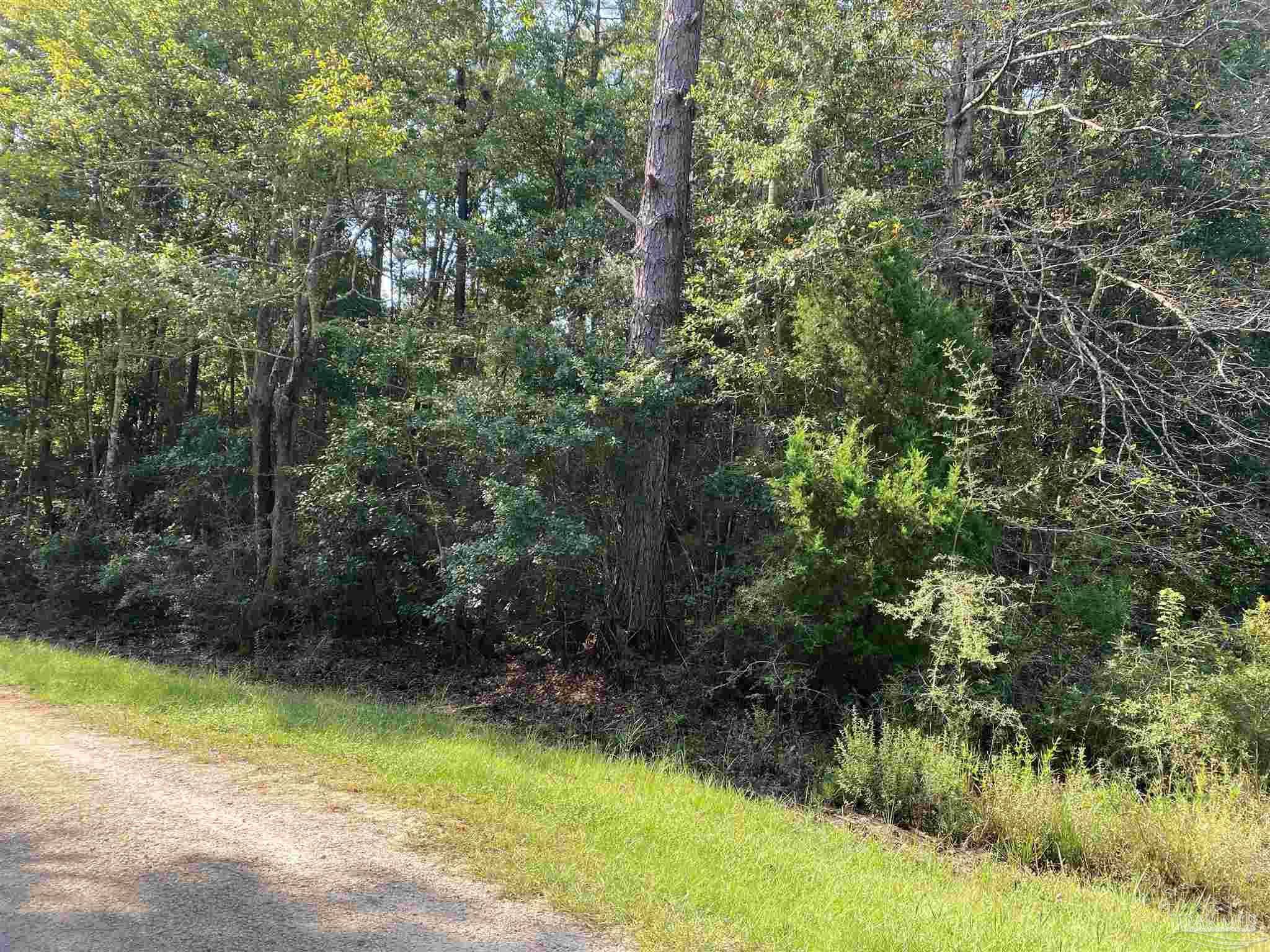 Milton, FL 32583,Lot 69 Shady Bayou Ln