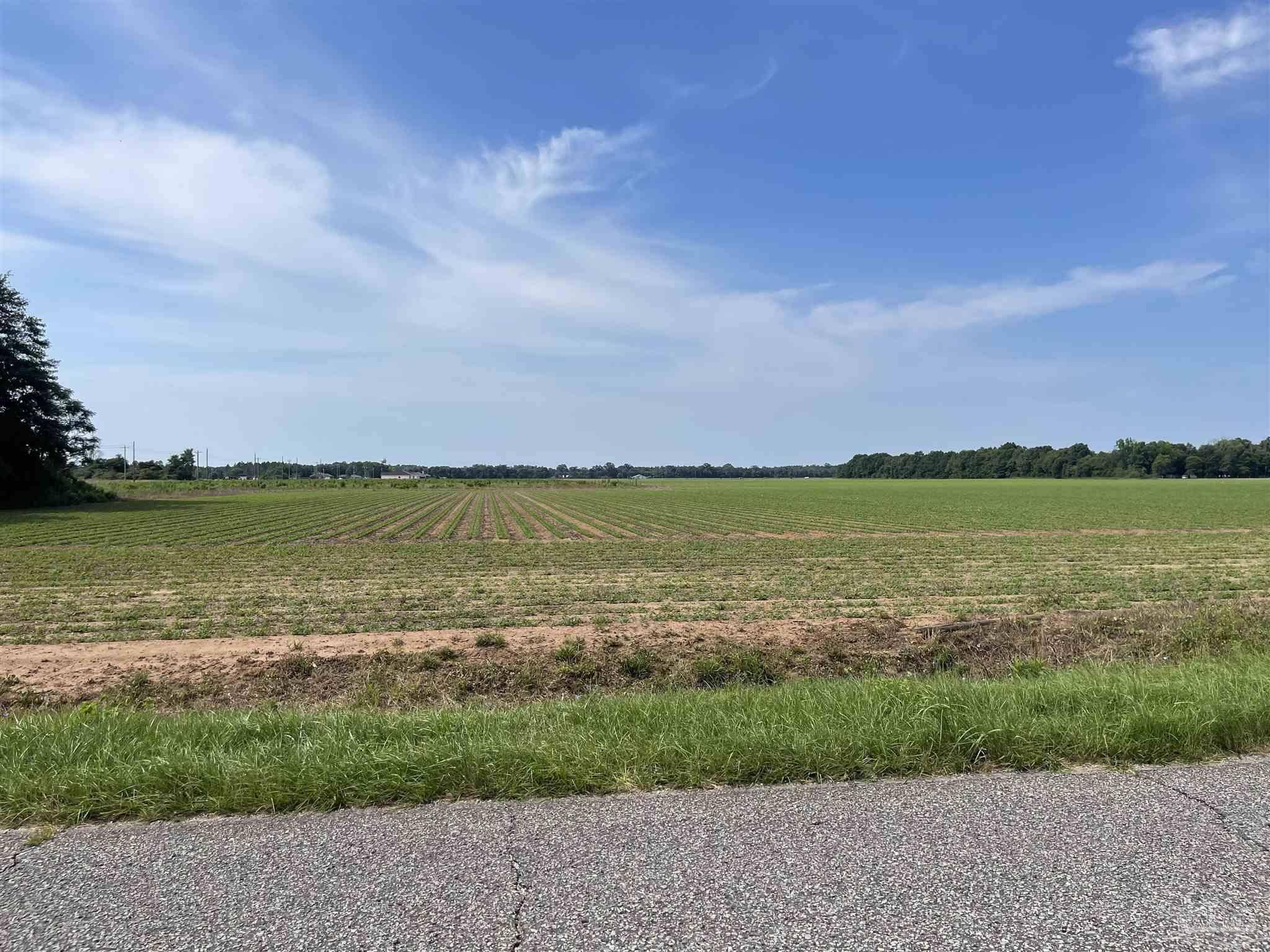 Jay, FL 32565,0 Hwy 182