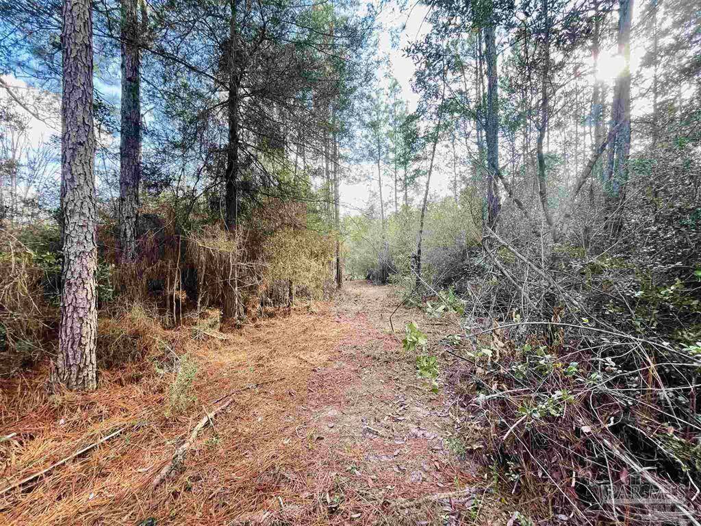 Milton, FL 32583,0000 Edith Ave