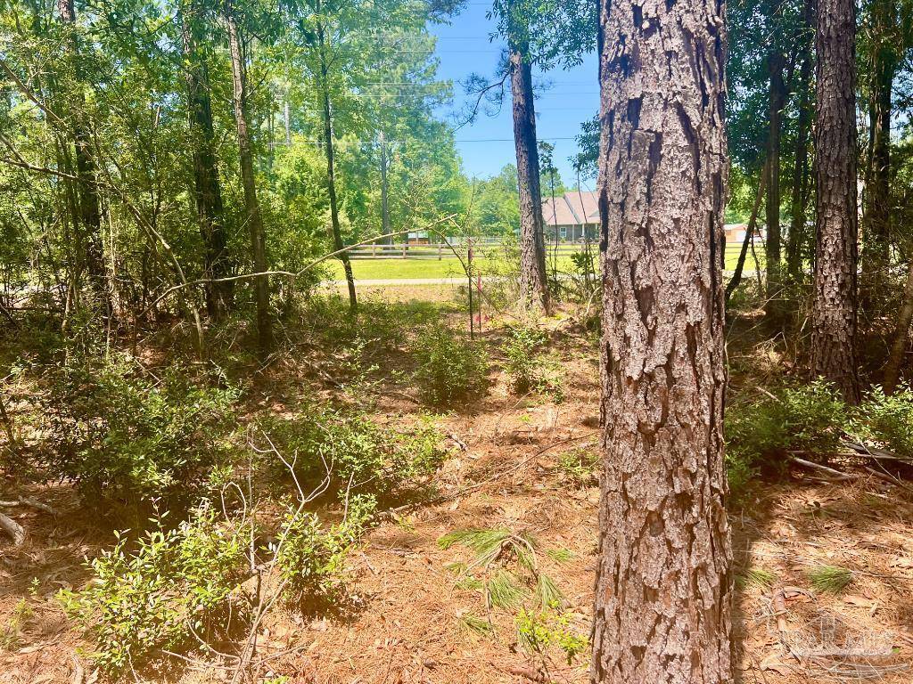 Jay, FL 32565,Lot 4-RS Hwy 182