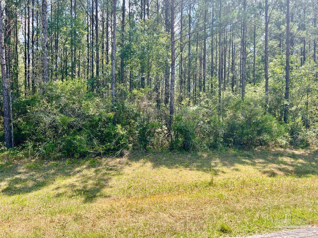 Jay, FL 32565,Lot 5-RS Hwy 182