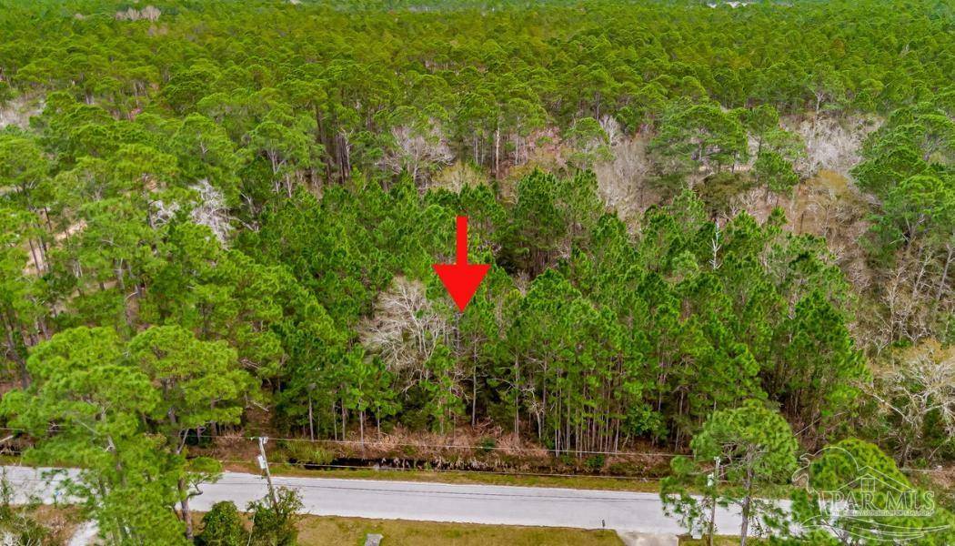 Milton, FL 32583,864 Dolphin Rd