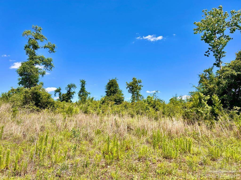 Molino, FL 32577,Lot 7-C Cotton Lake Rd