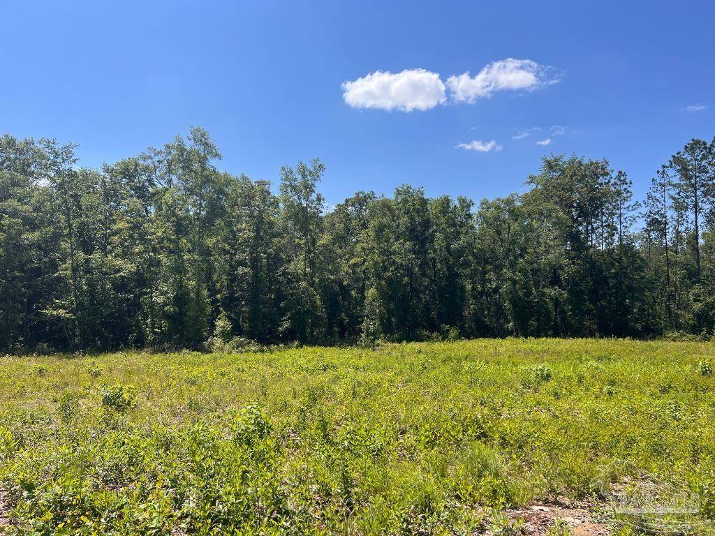 Molino, FL 32577,Lot 14-C Hwy 29
