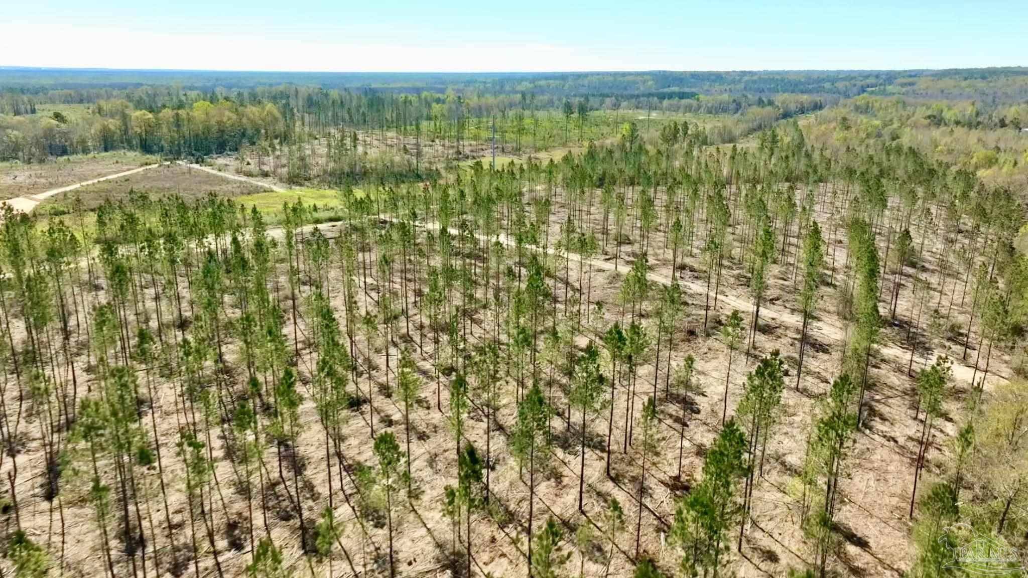 Molino, FL 32577,Lot 15-C Hwy 29