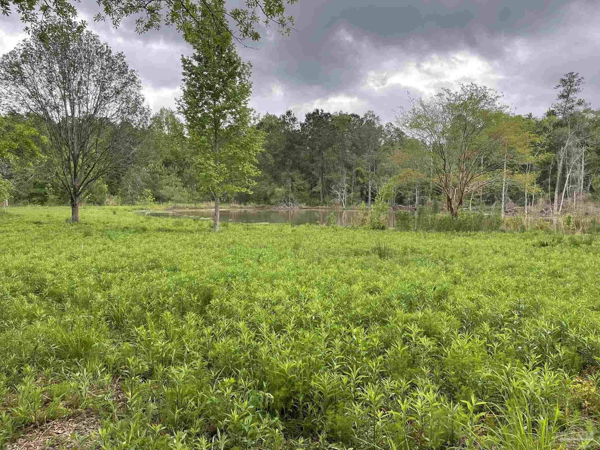 Pace, FL 32571,7236 Tidwell Rd
