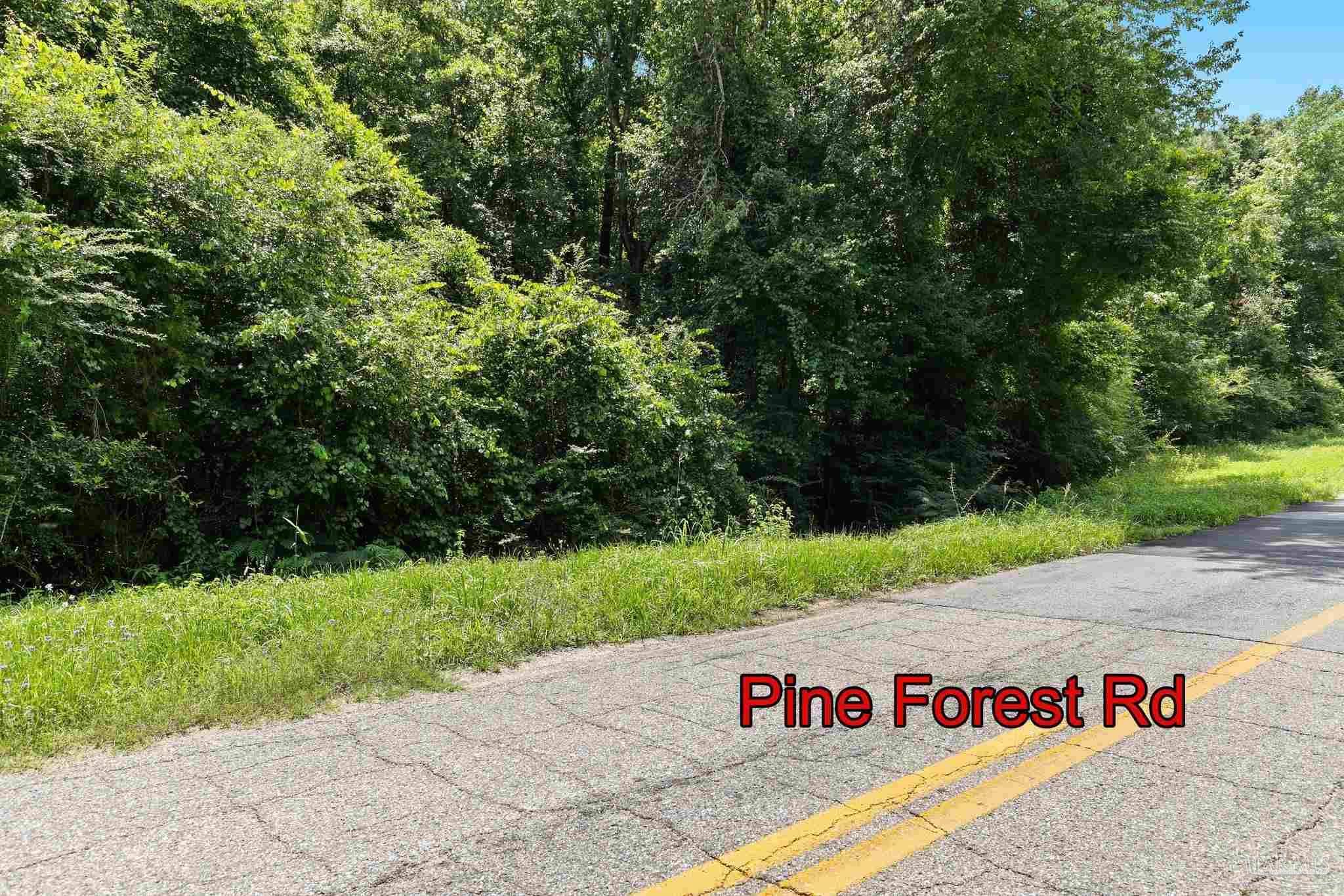 Walnut Hill, FL 32568,0 Pine Forest Rd