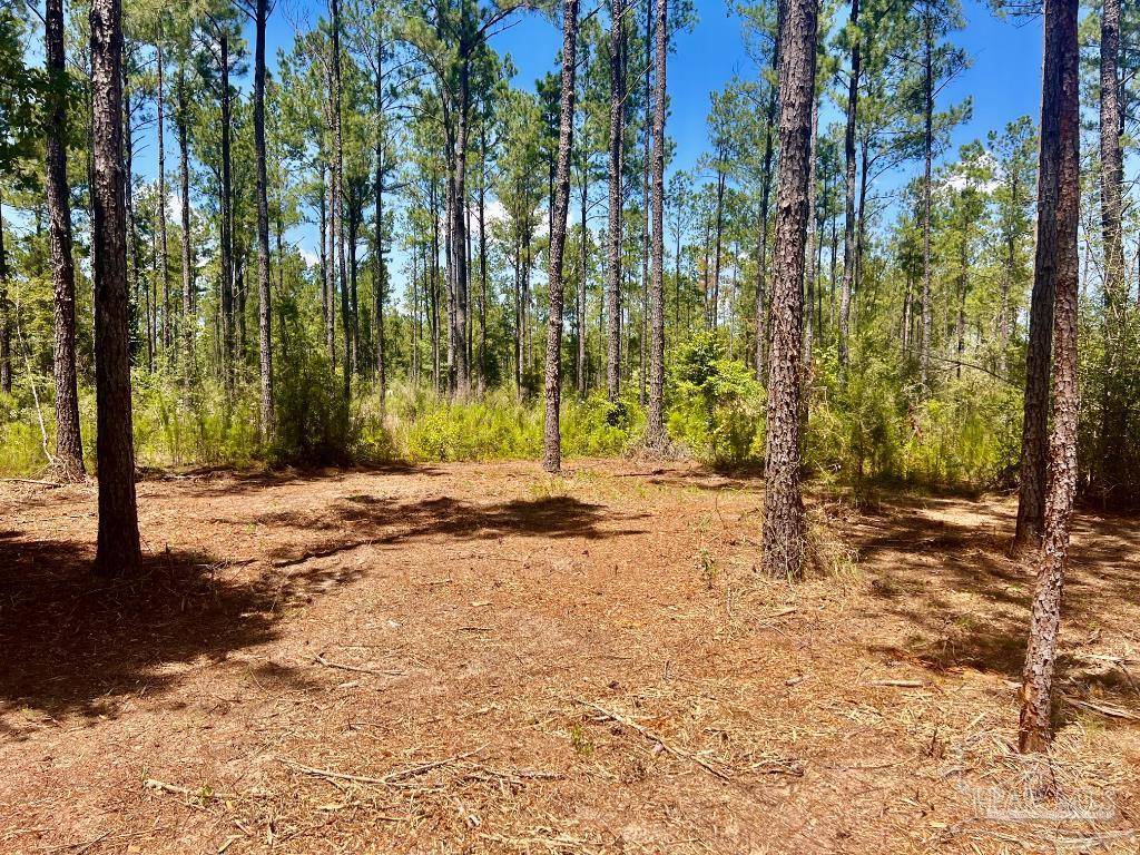 North Pace, FL 32571,Lot 35 Naturewalk Dr