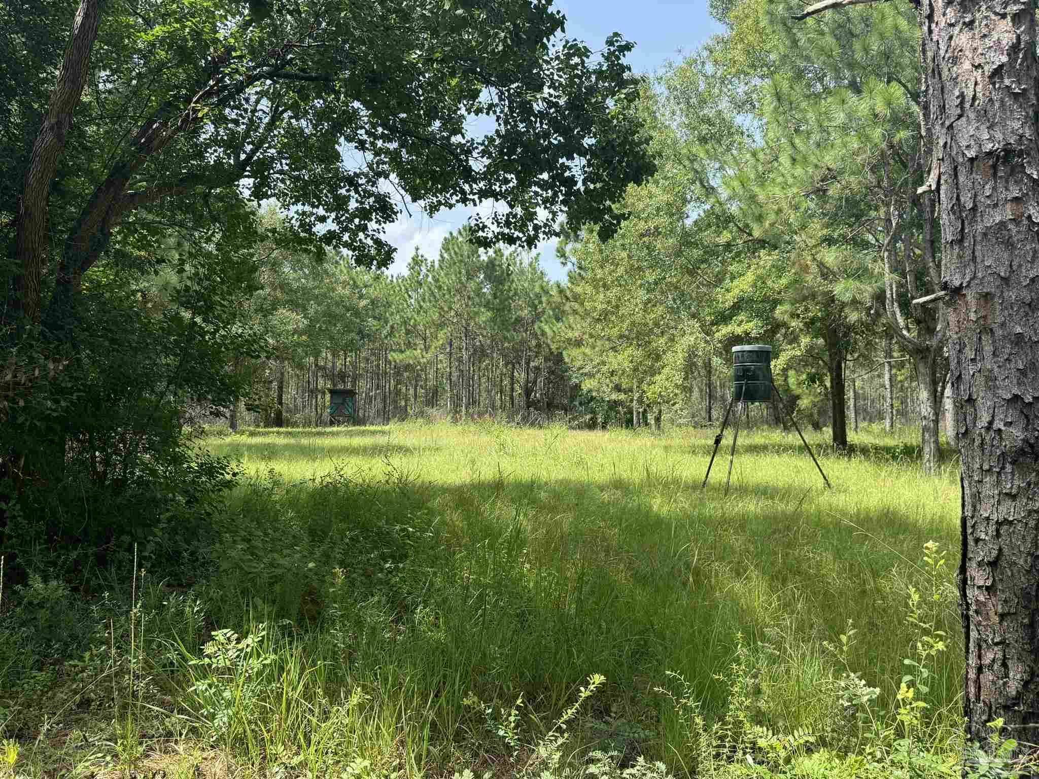 Walnut Hill, FL 32568,0 Nokomis Rd