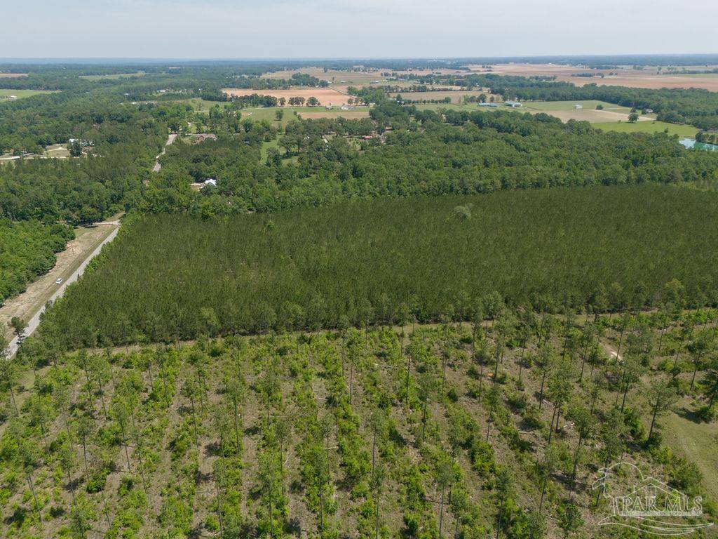 Jay, FL 32565,12 Bud Diamond Rd