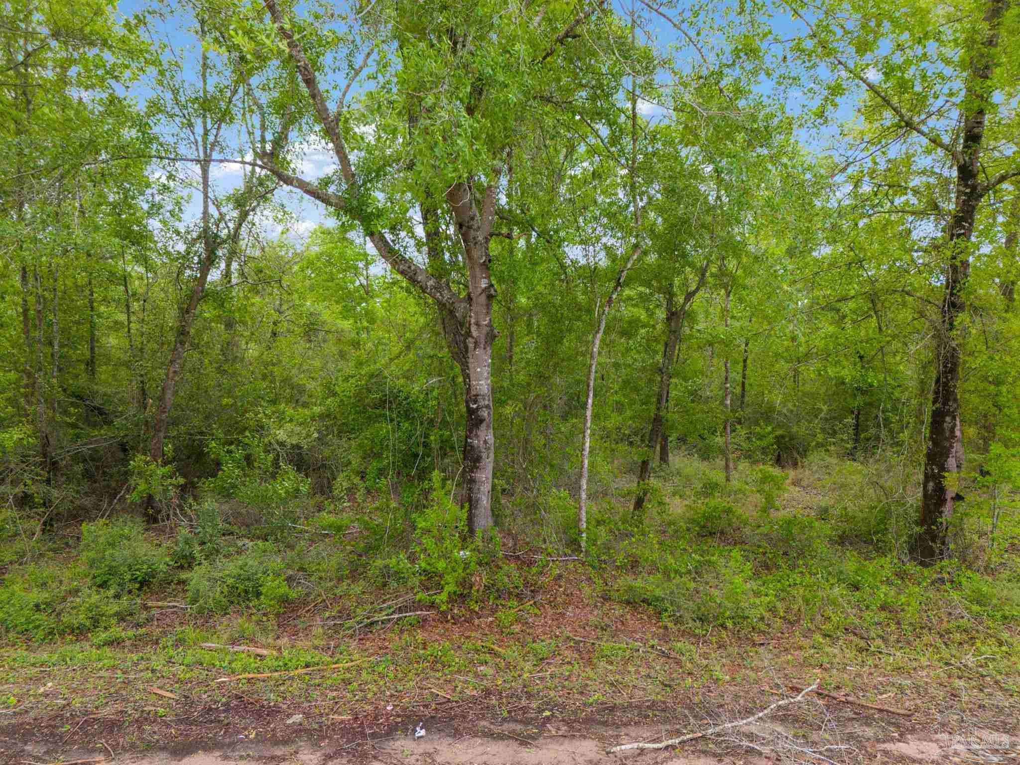 Jay, FL 32565,LOT 23 Mineral Springs Rd