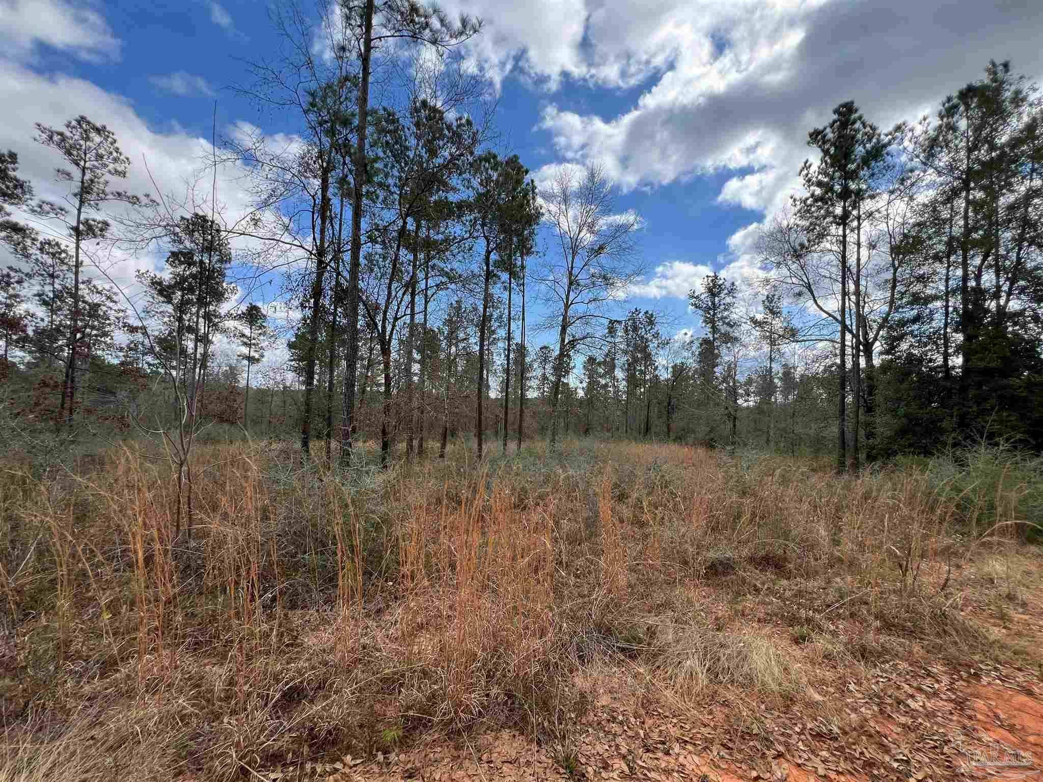 Pace, FL 32571,LOT 73 Cascade Dr