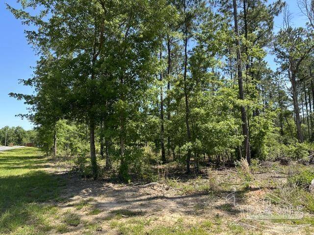 Pace, FL 32571,17 Steele Meadow Dr