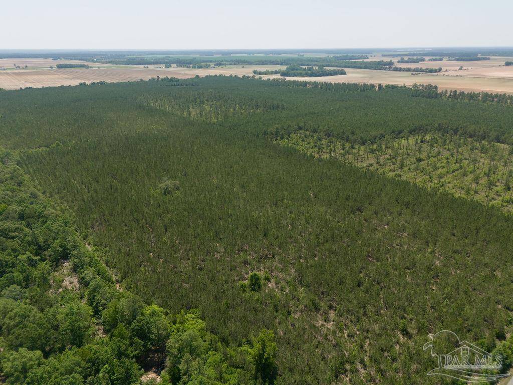 Jay, FL 32565,11 Bud Diamond Rd