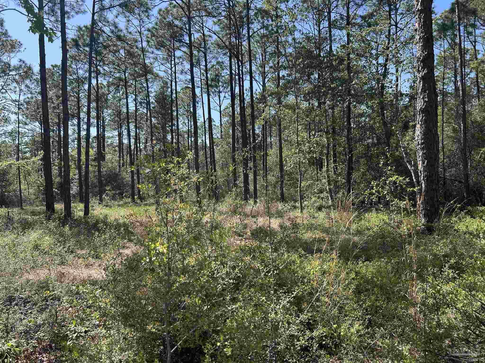Milton, FL 32570,N 14th Ave