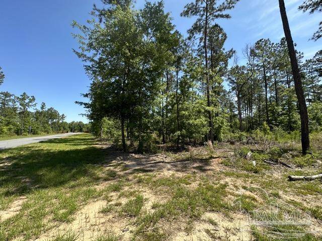 Pace, FL 32571,18 Steele Meadow Dr