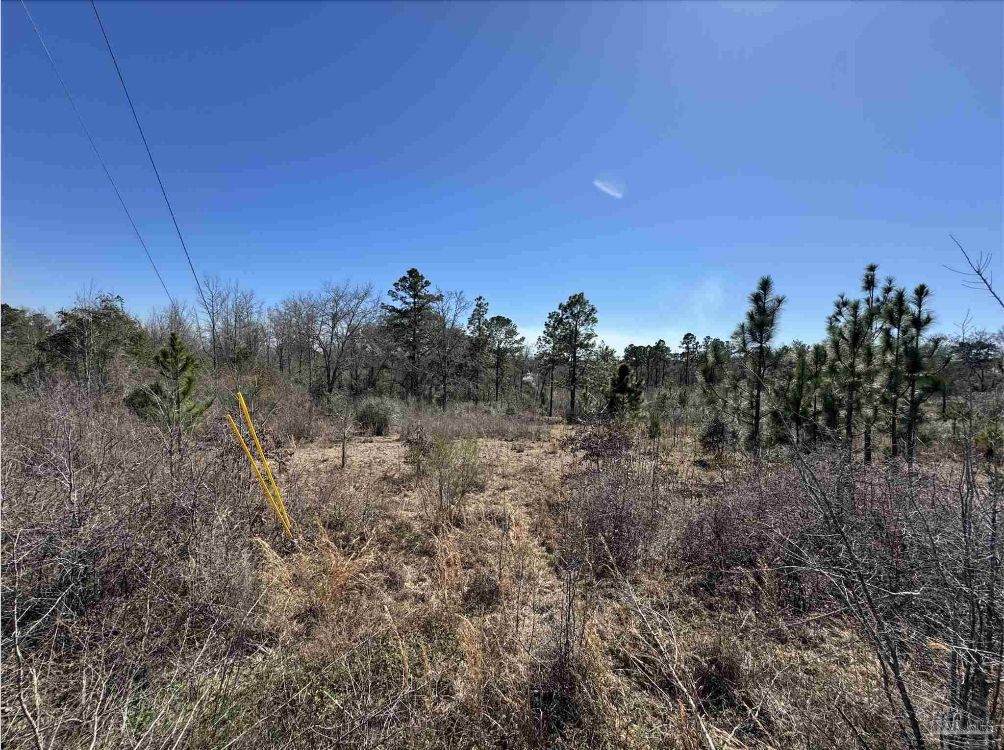 Jay, FL 32565,Lot 6 Will Jones Rd