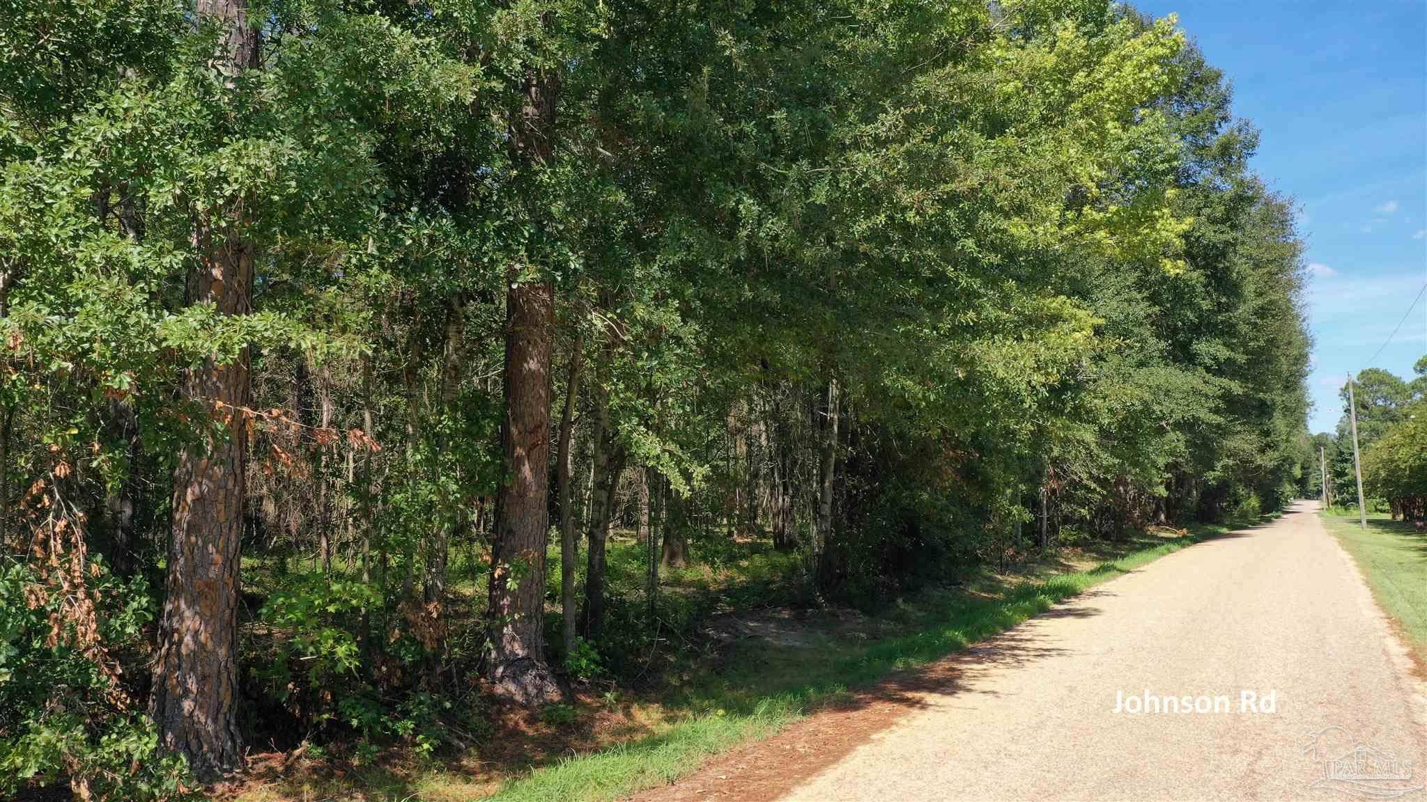 Atmore, AL 36502,Lot 5 Johnson Rd