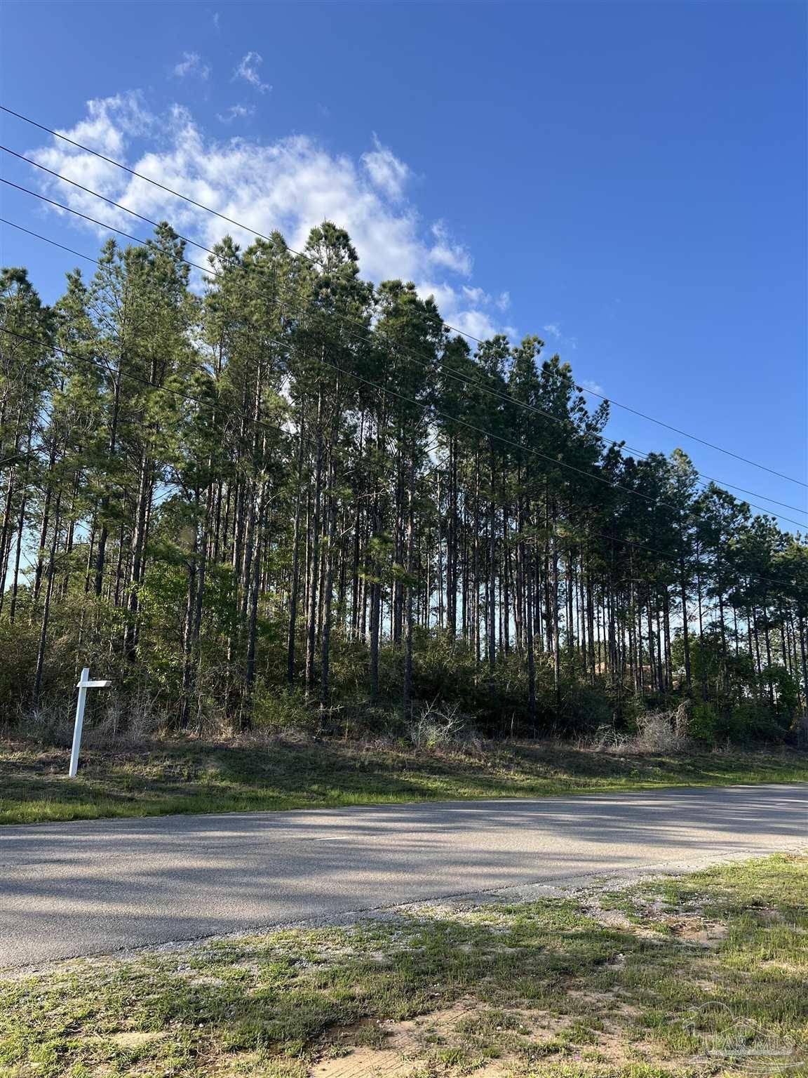Pace, FL 32571,0000 10 Mile Rd