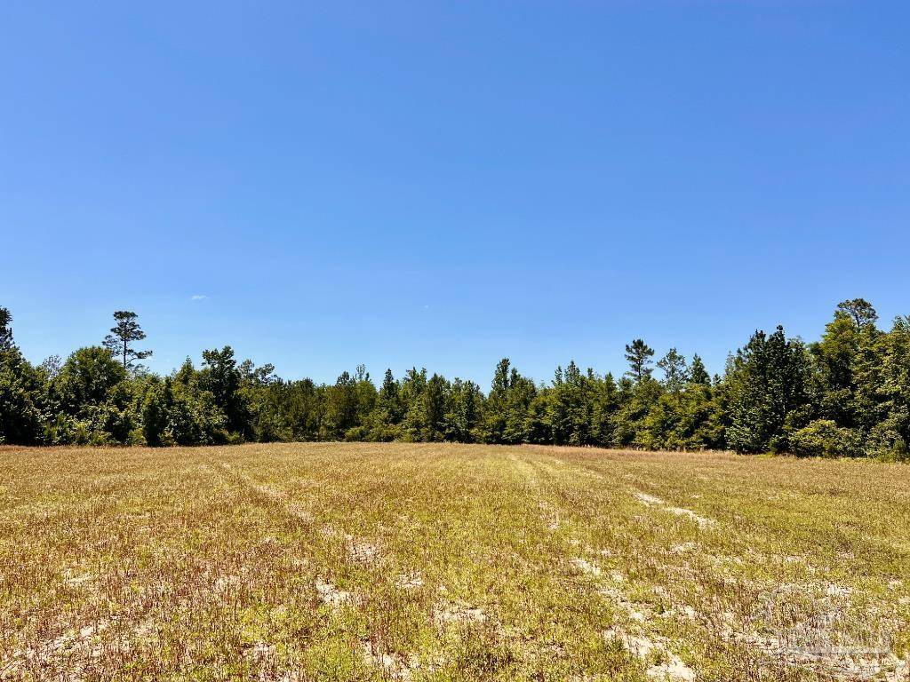 Jay, FL 32565,Lot 49 Mineral Springs Rd