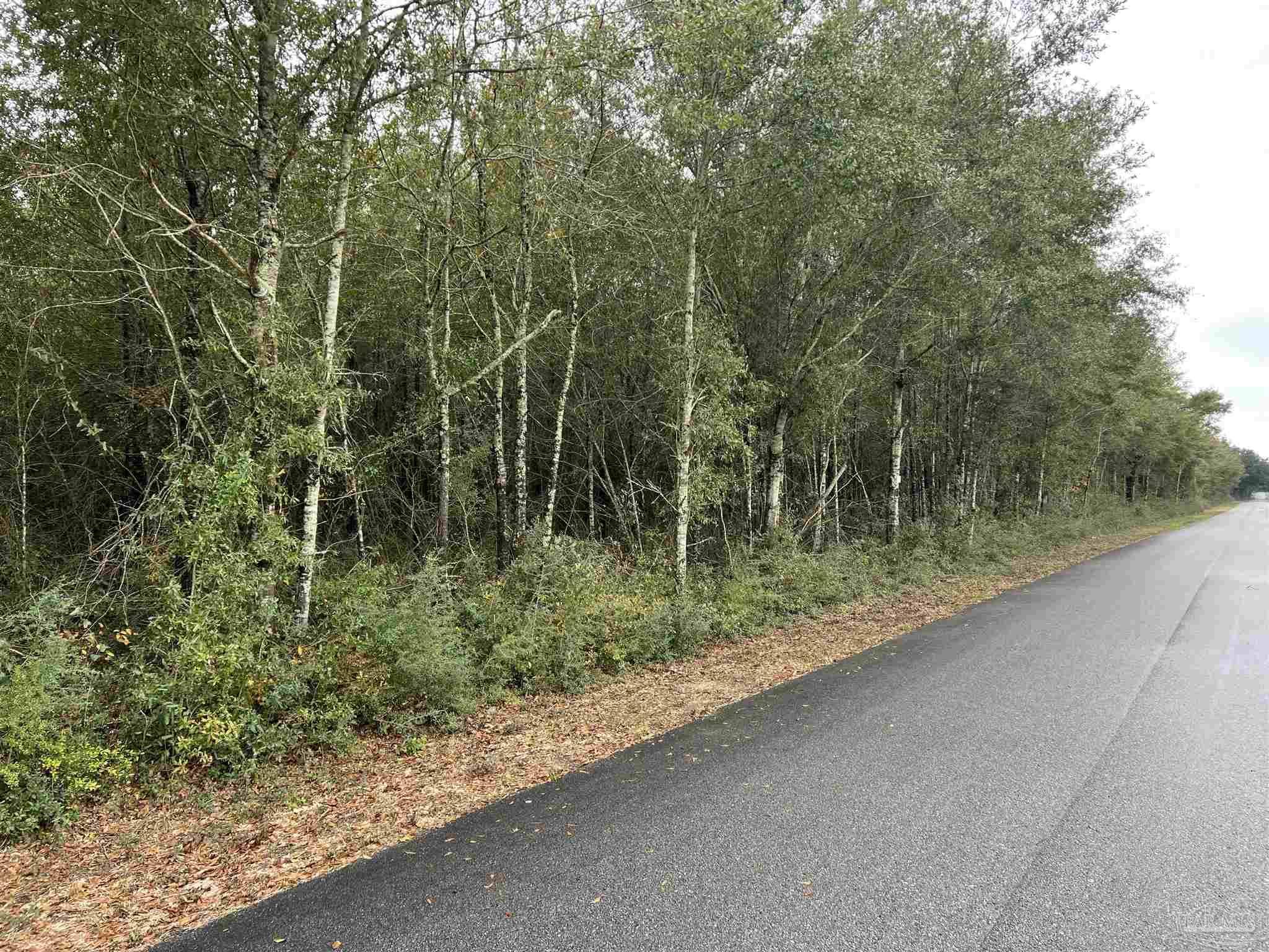 Milton, FL 32570,Lot 11 Horace Lunsford Rd