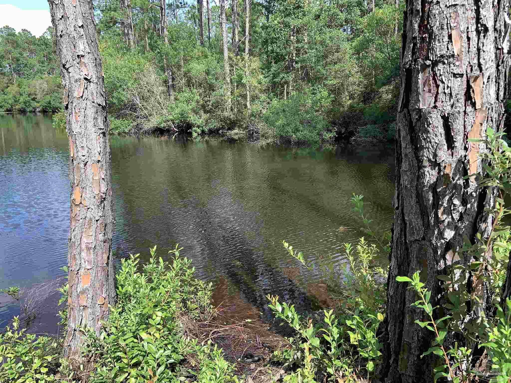 Pensacola, FL 32506,12335 Ailanthus Dr