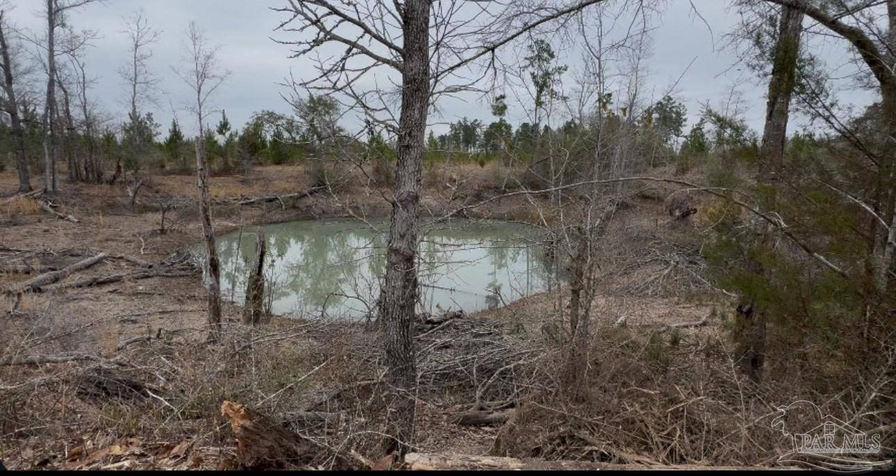Marianna, FL 32448,000 Bright Prospect Rd