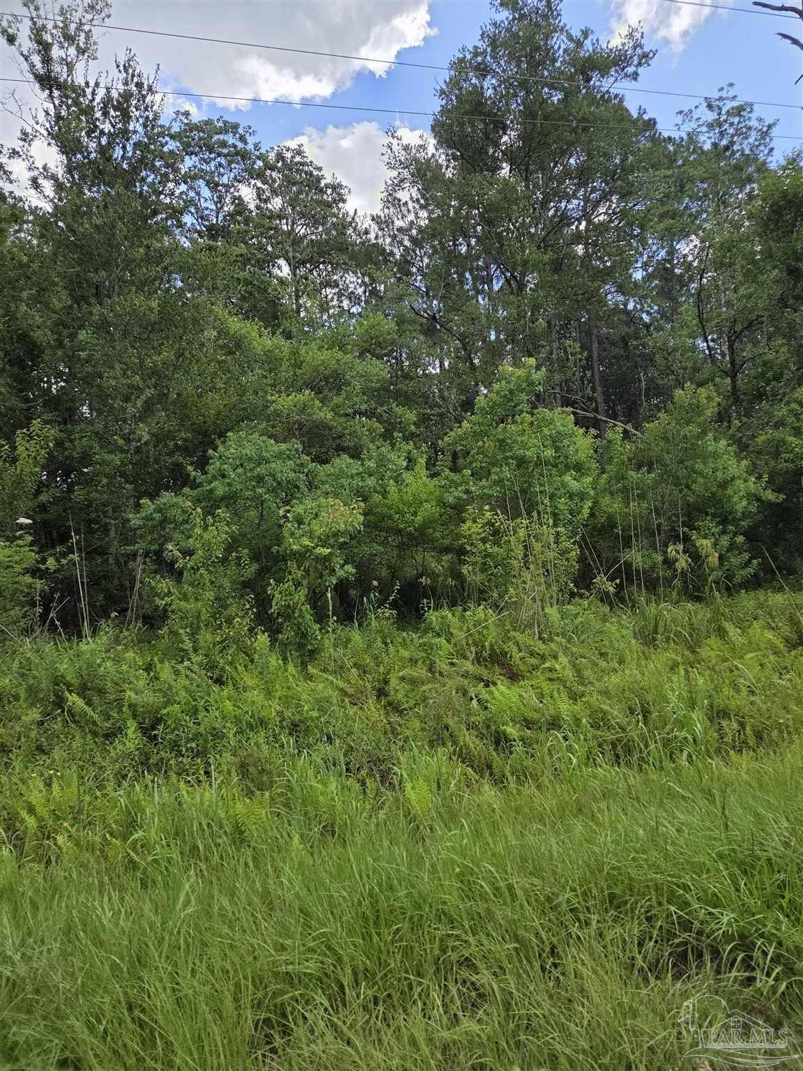 Elberta, AL 36530,11210 County Rd 95