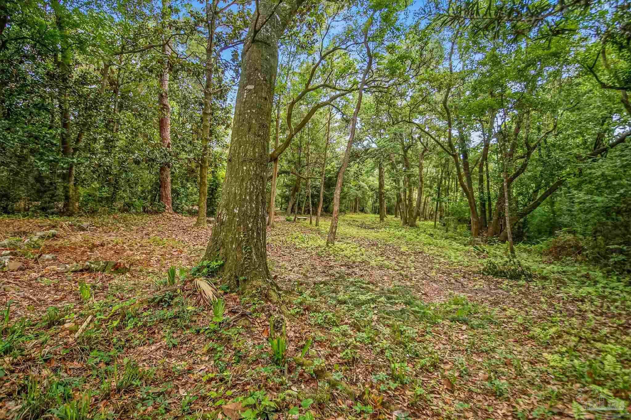 Pensacola, FL 32503,0 Blk Ellison Dr