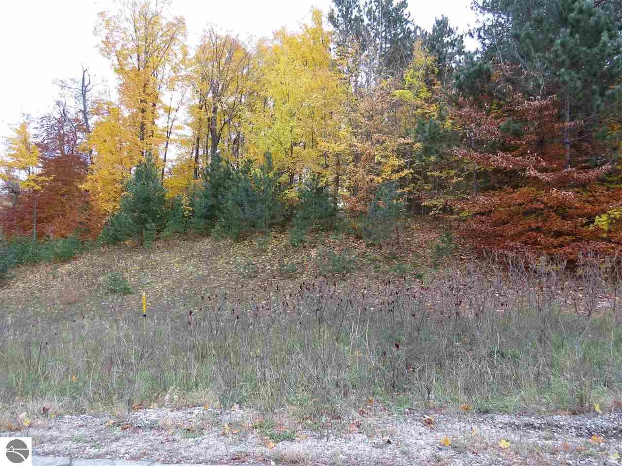 Kingsley, MI 49649,Lot 90 Eden Street
