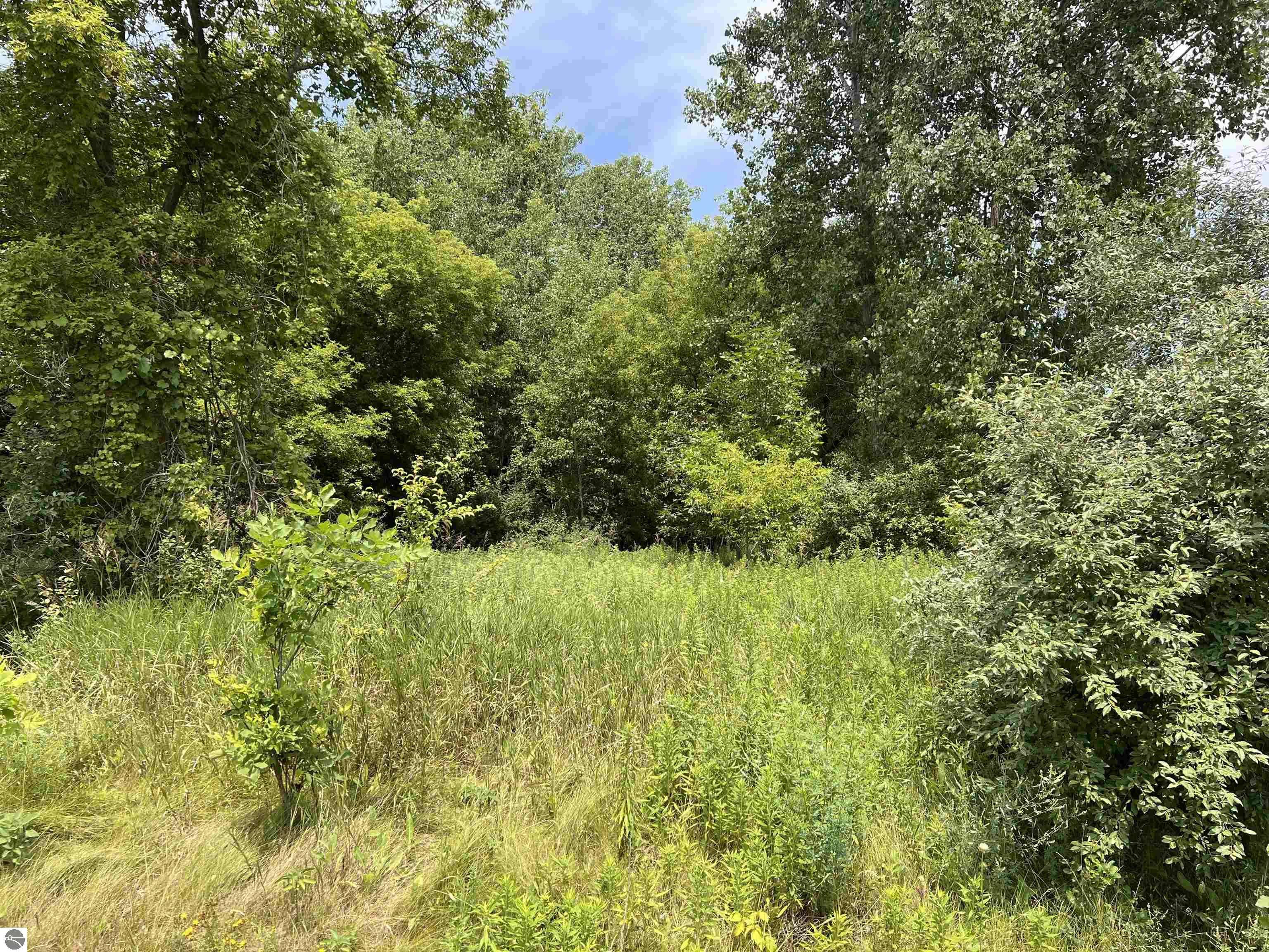 Mt Pleasant, MI 48858,Lot 10 McDonald Drive