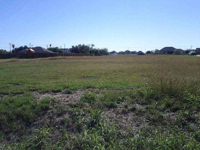 Mercedes, TX 78570,0000 Camino Real Viejo