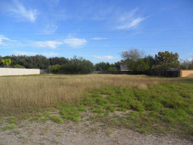 Palmhurst, TX 78574,00 Buddy Owens BLVD