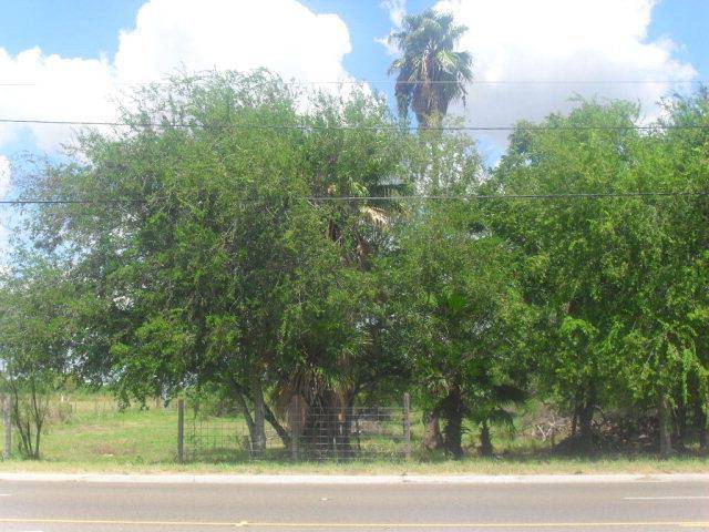 Palmhurst, TX 78573,0 W Mile 3