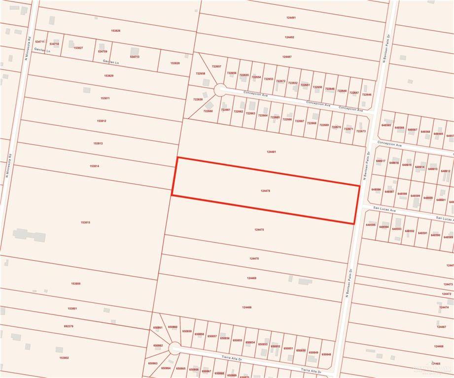 Mission, TX 78572,0 N Bentsen Palm DR