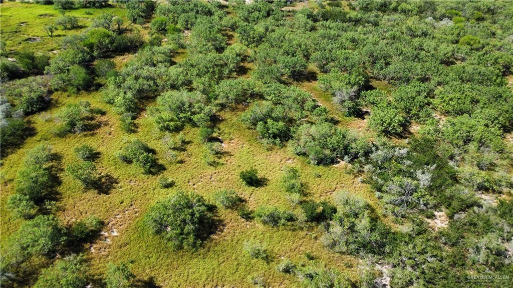 Rio Grande City, TX 78582,0000 FM 755 RD