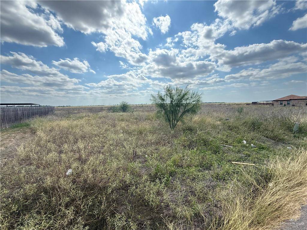 Raymondville, TX 78580,1021 W Gem AVE