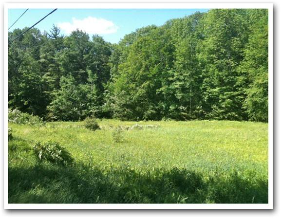 Buckland, MA 01370,Lot 4A Bray Rd