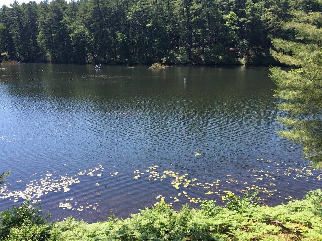Stow, MA 01775,51 Hale Rd