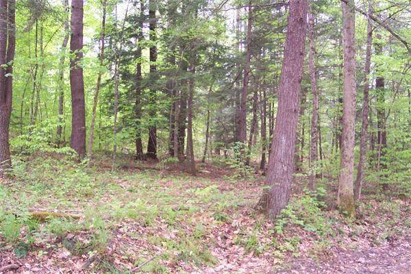 Colrain, MA 01340,0 Green River Road Lot 2