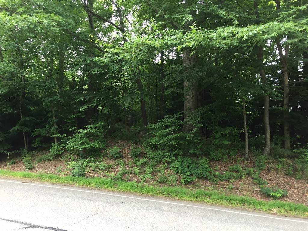 Warren, MA 01083,LOT 4 A Southbridge Rd